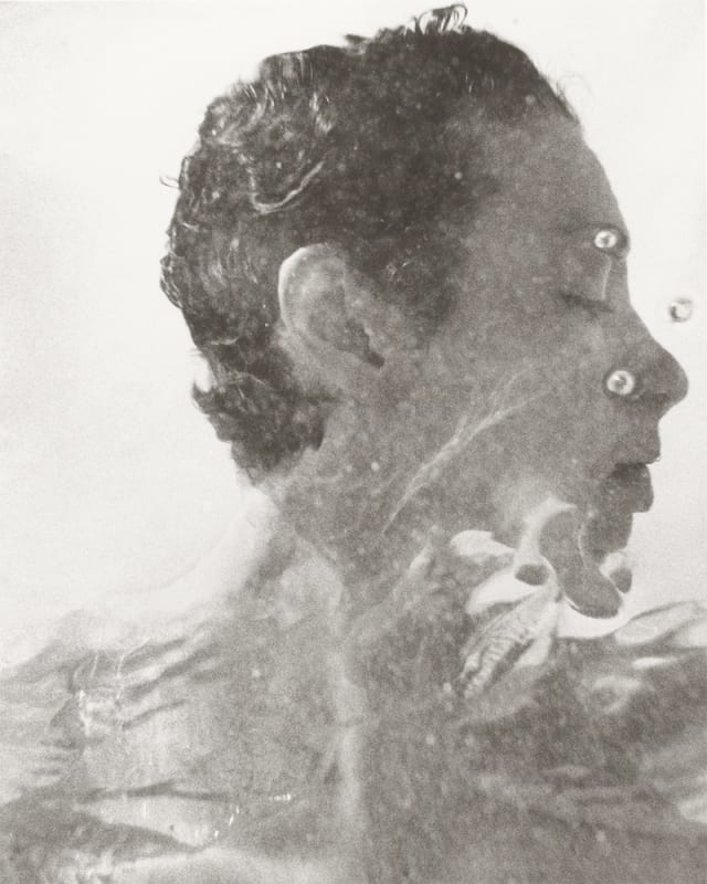 Rainer Leitzgen - Sans titre, série Bimini, 1992