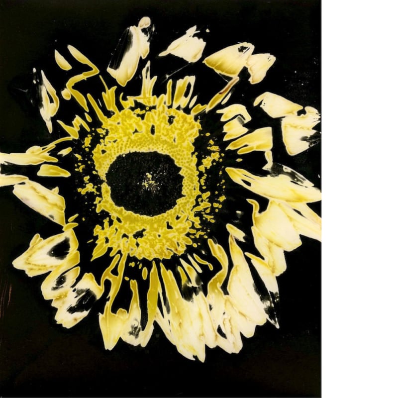 Thierry Balanger - Fleurs cassées #50, 2022