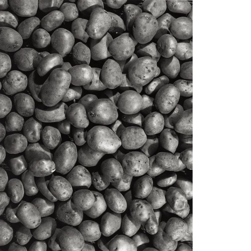 René-Jacques - Pommes de terre, 1933