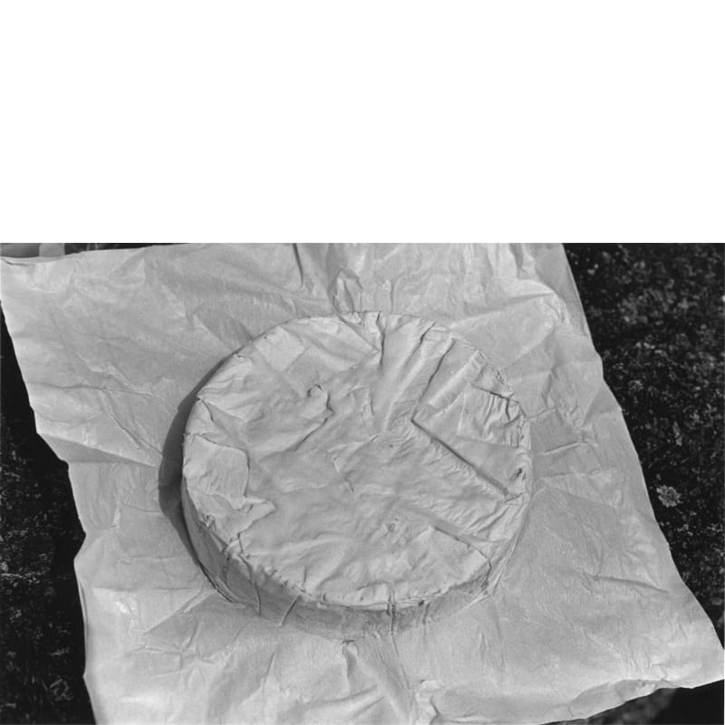 Bernard Plossu - Camembert Mallevitchien, Vosges, 1996