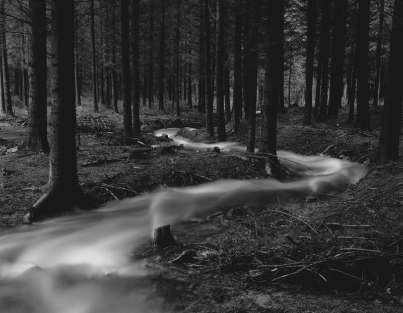 Sur mon chemin ! Hommage à Bogdan Konopka