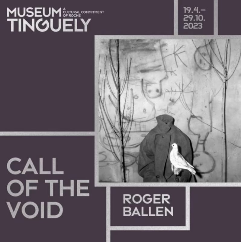 Roger Ballen, Call of the Void (Danse macabre No. VIII)