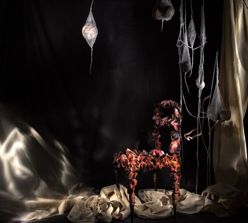 Stacey Gillian Abe, Seat of Honor #1, 2017, 50 × 50cm / 19 3/4 × 19 3/4in, Photography, edition 3/5