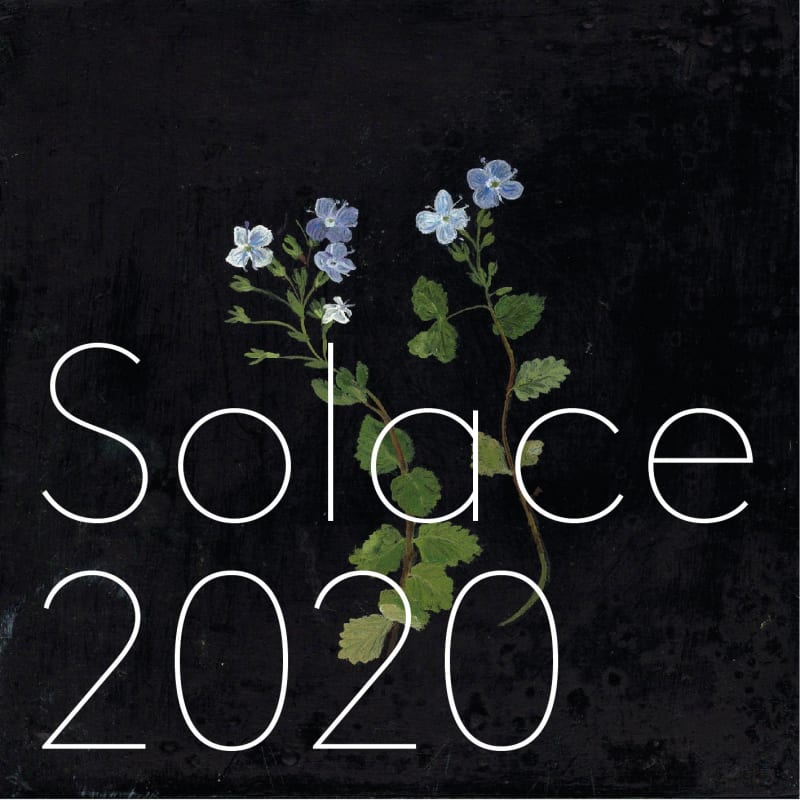 Melanie Miller's Upcoming Online Exhibition Solace 2020 going live on 2nd June 2020