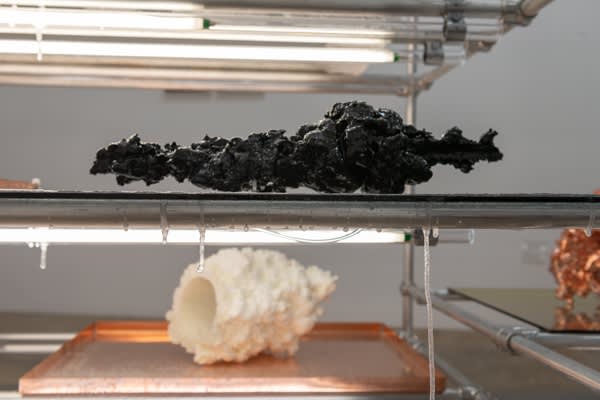 威廉·拉姆森（William Lamson）