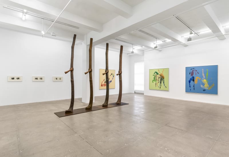 Giuseppe Penone: Hands - Earth - Light - Colors 3 May - 29 June 2024