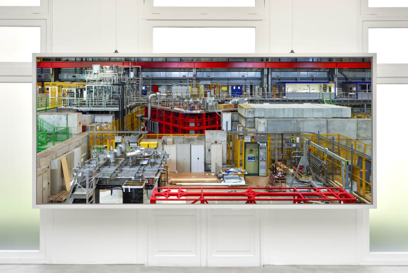 Thomas Struth: Nature & Politics 25 May - 26 July 2024