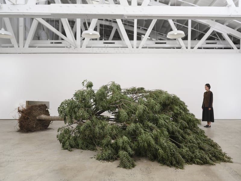 Robert Smithson, “Mirror Displacement: Indoors,” 1969