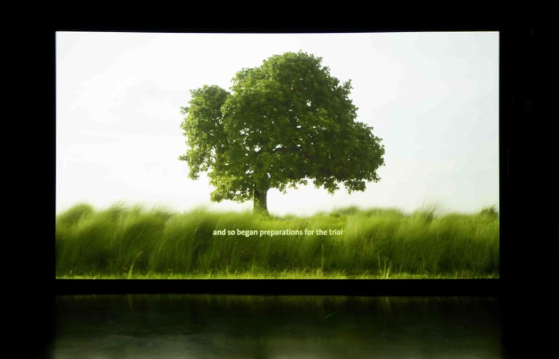 Amar Kanwar The Sovereign Forest: The Counting Sisters and Other Stories, 2012