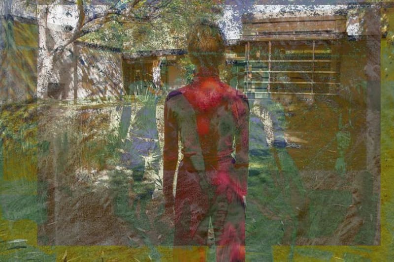 A large inkjet print containing a boy in the woods in layers of distinctive, luminous color by James Welling