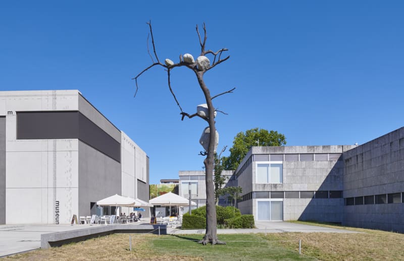An image containing a tree sculpture by Giuseppe Penone, installed outside