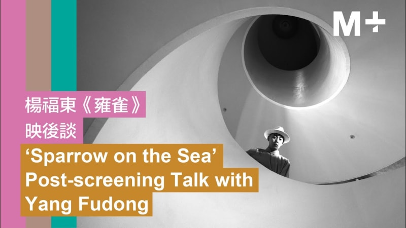 M+ Talks | ‘Sparrow on the Sea’ Post-screening Talk with Yang Fudong