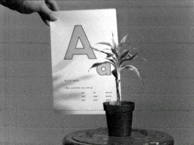 John Baldessari, "Teaching a Plant the Alphabet", 1972.