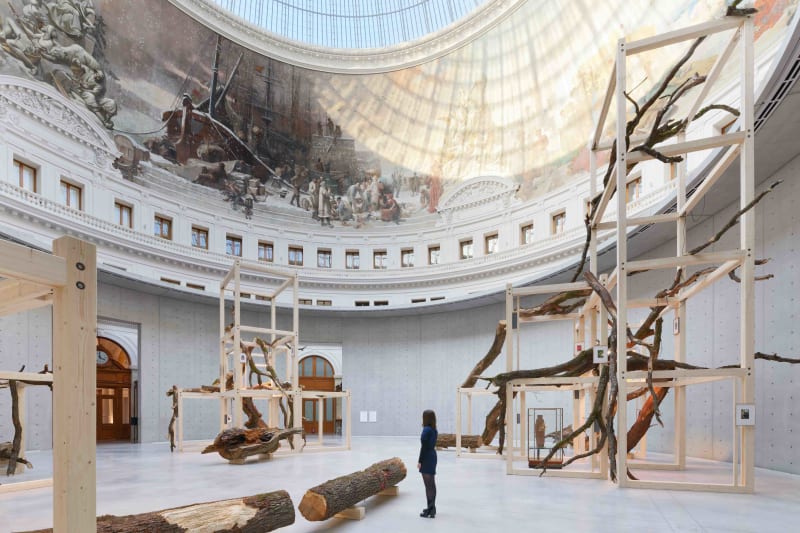 Danh Vo’s "Tropeaolum"