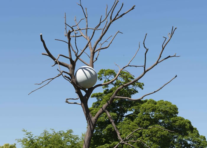 An image of a sculpture of a tree featuring an egg-like form nestled between branches.