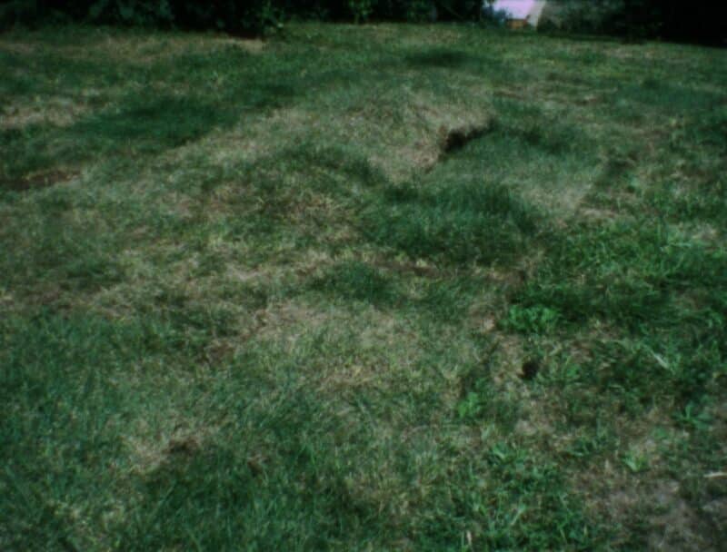 Ana Mendieta (American, born Cuba, 1948-1985) Grass Breathing, c.1974