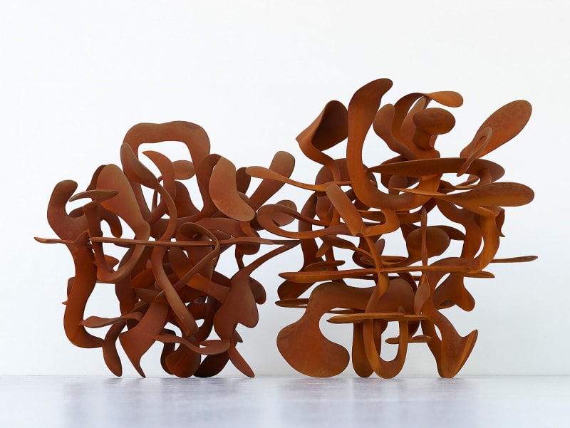 Tony Cragg, Thicket, 2016.