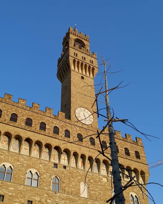 Giuseppe Penone, "Abete (Fir)," Piazza della Signoria