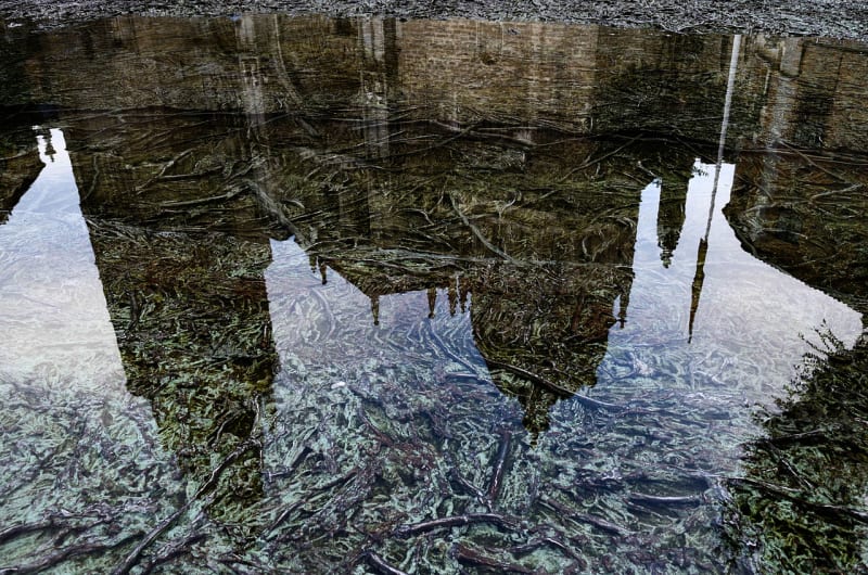 The reflection of a cathedral over water with tree roots at the bottom