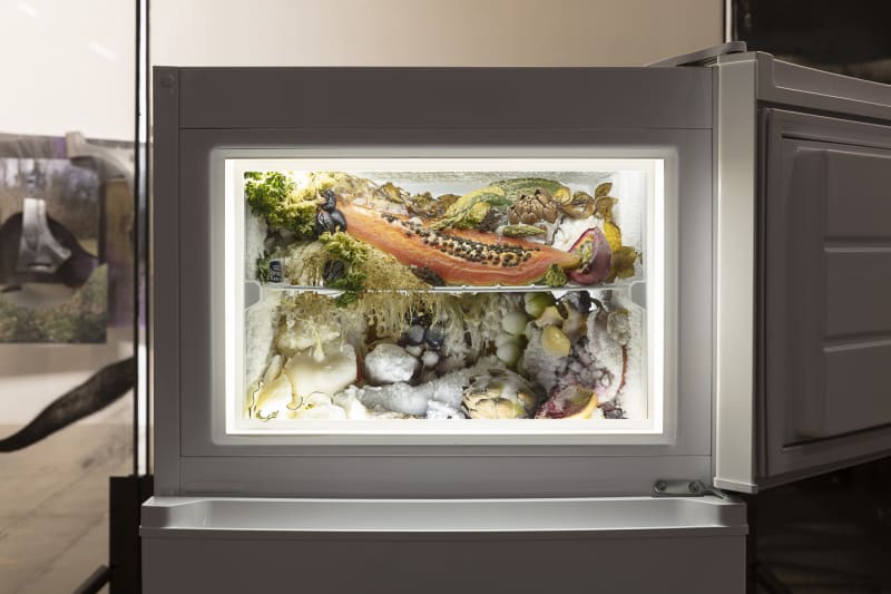 Adrián Villar Rojas, Untitled (from the series Rinasciemento), 2015-2020