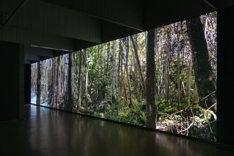 Eija-Liisa Ahtila, APRIL