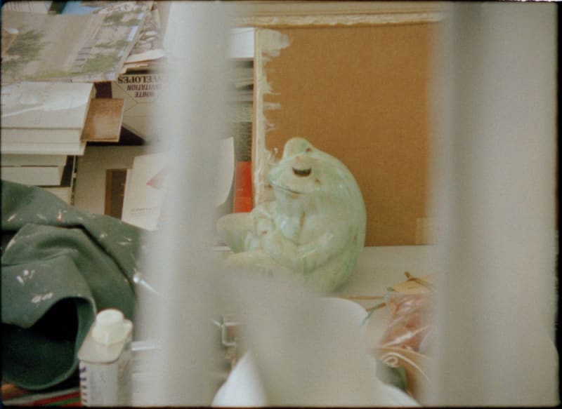 Tacita Dean Edwin Parker, 2011 16mm color film, optical sound; 29 min.