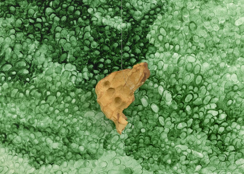 Giuseppe Penone: Nature and The Body