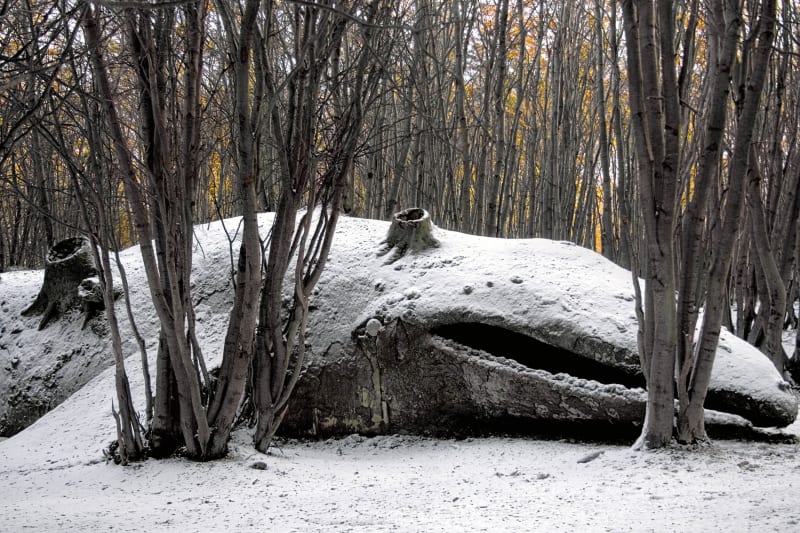 Sculpture in nature: whale sculpture in forest with tree stumps growing from body covered in light snow.