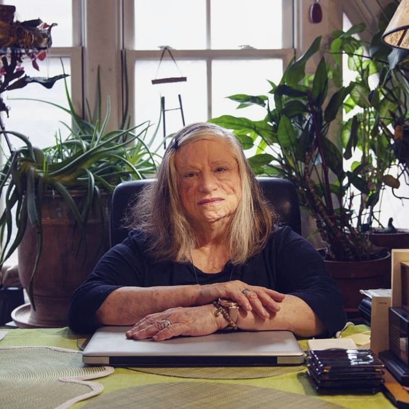 Dara Birnbaum, portrait. Photo credit: Rehan Miskci