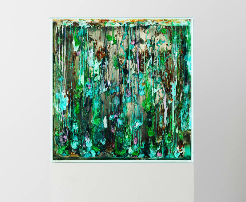 Agnieszka Kurant Chemical Garden, 2021/2025