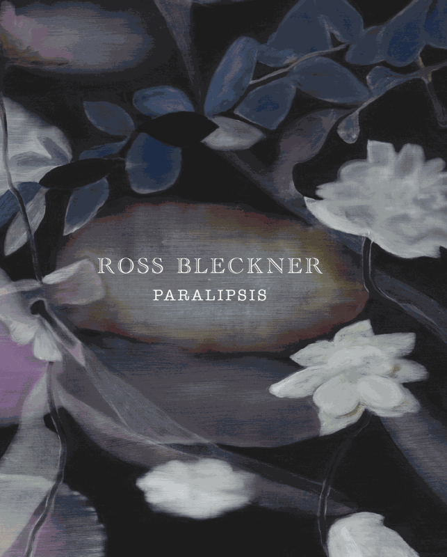 Ross Bleckner, Paralipsis