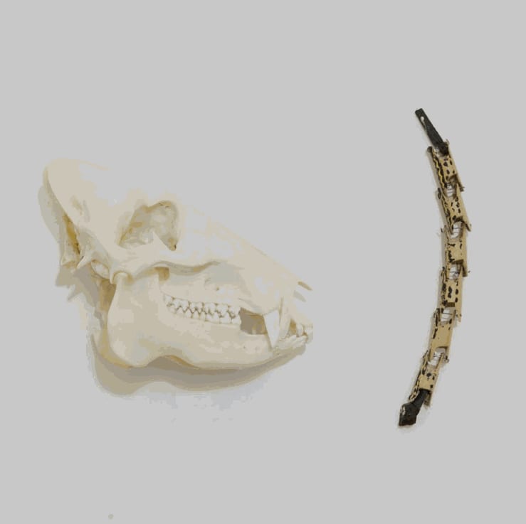 exhibition | raleigh, us