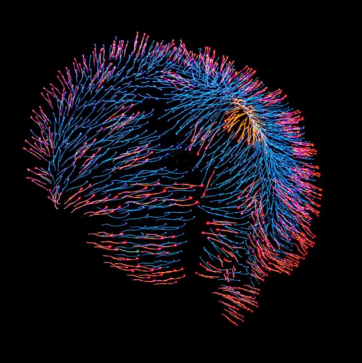 Courtesy: Natacha Donzé