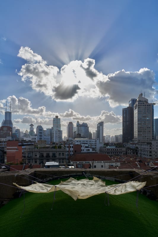 Installation view Rindon Johnson Best Synthetic Answer, Rockbund Art Museum, Shanghai (2024 – 2025), Photo: Cra. © Rockbund Art Museum
