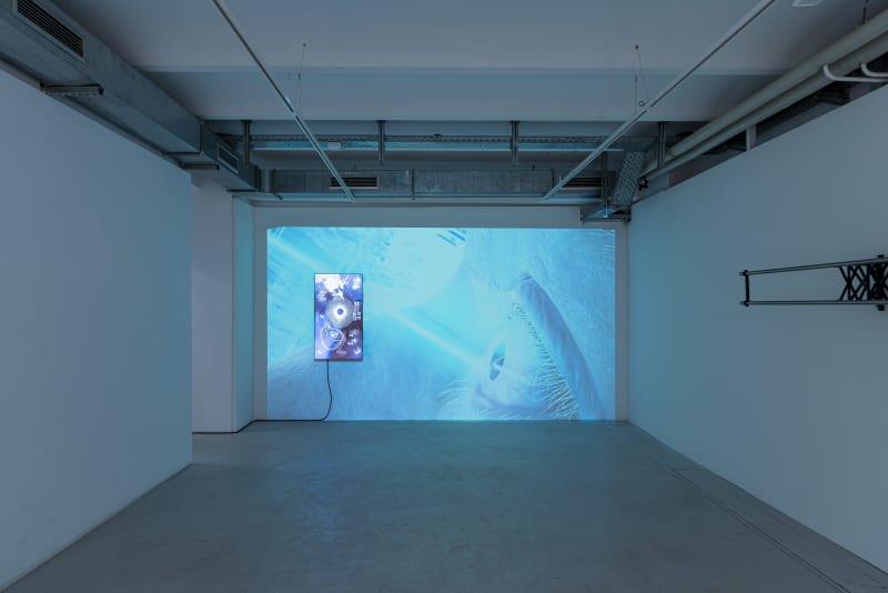 Installation view | Photo: Dirk Tacke