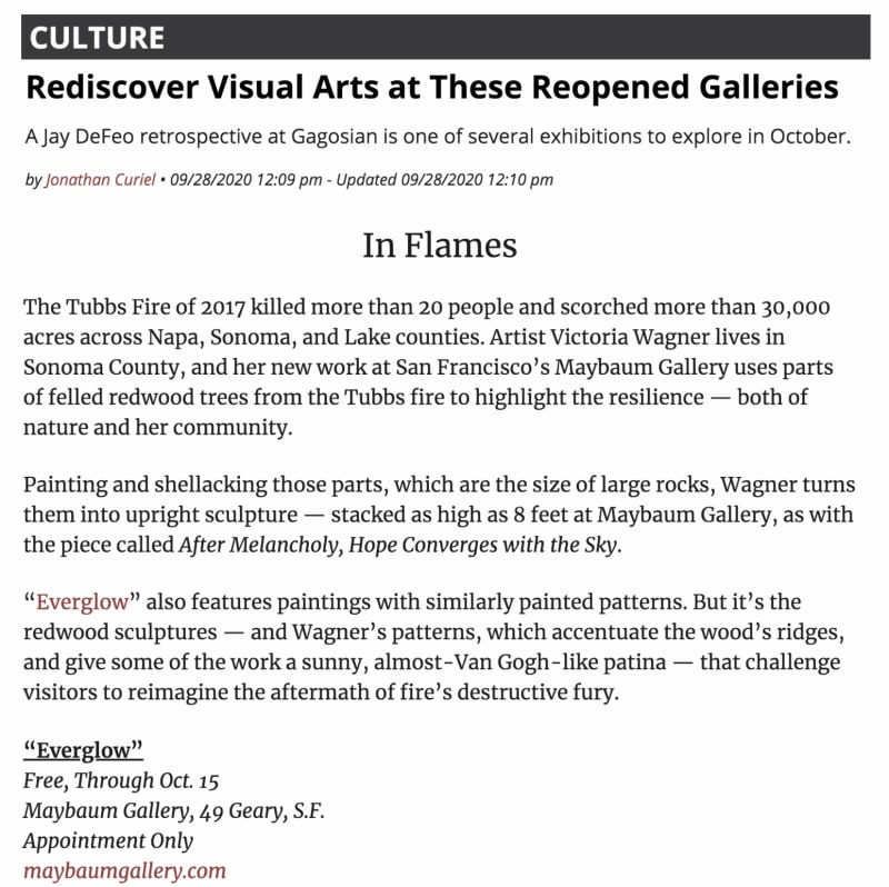 SF WEEKLY | Victoria Wagner | In Flames