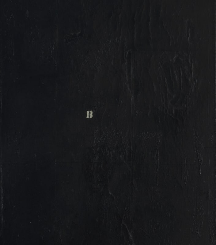 Mario Schifano, Monocromi