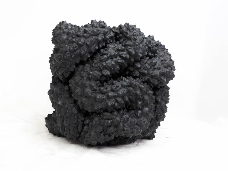 Bianca Before Bianca Mann , Bianca Mann