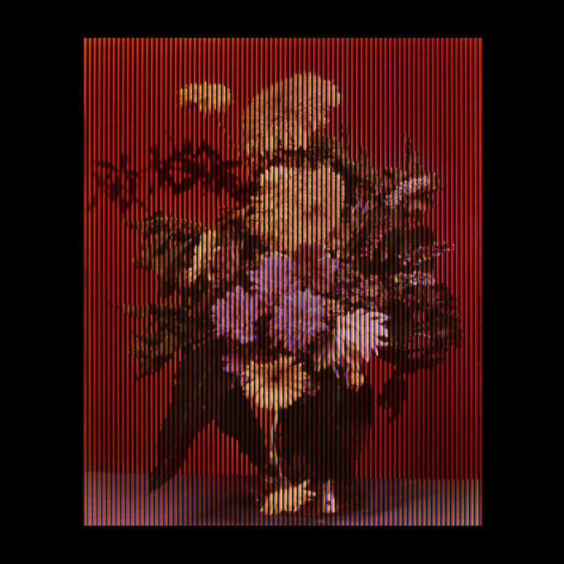 'Margaretha Haverman, 1722, when Jacob Roggeveen landed on what is now Easter Island, soon after calling the Malvinas Belgia Australis', Joly screen photograph, 2019