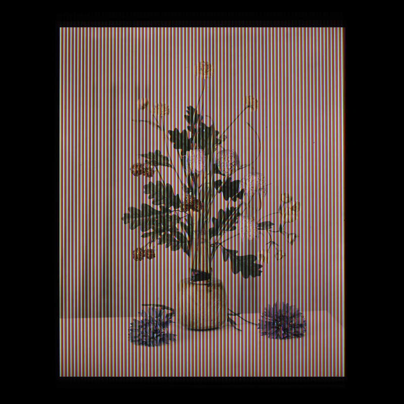 Alan Phelan, 'Alternative Fact Foliage Fake', Joly screen photograph, unique