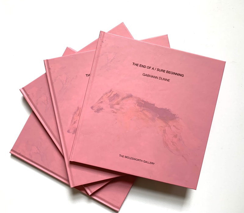 The end of a / sure beginning, Gabhann Dunne