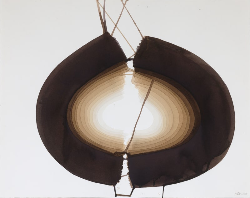 Danielle Dimston: The Enigma of Geometries