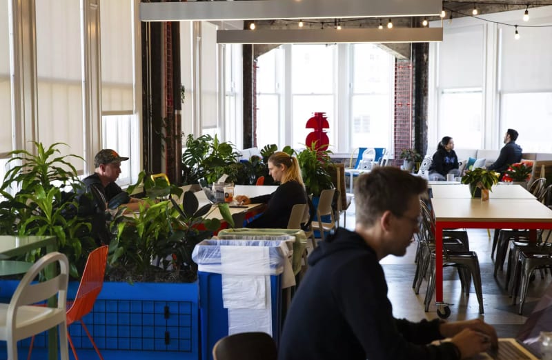 NAVA Contemporary's art consulting for Figma featured in The SF Standard, Keeping Figma weird: Inside tech’s design darling after a...