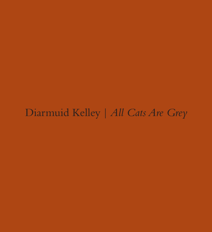 Diarmuid Kelley: All Cats Are Grey . Selected Works 2011-2013, AVAILABLE