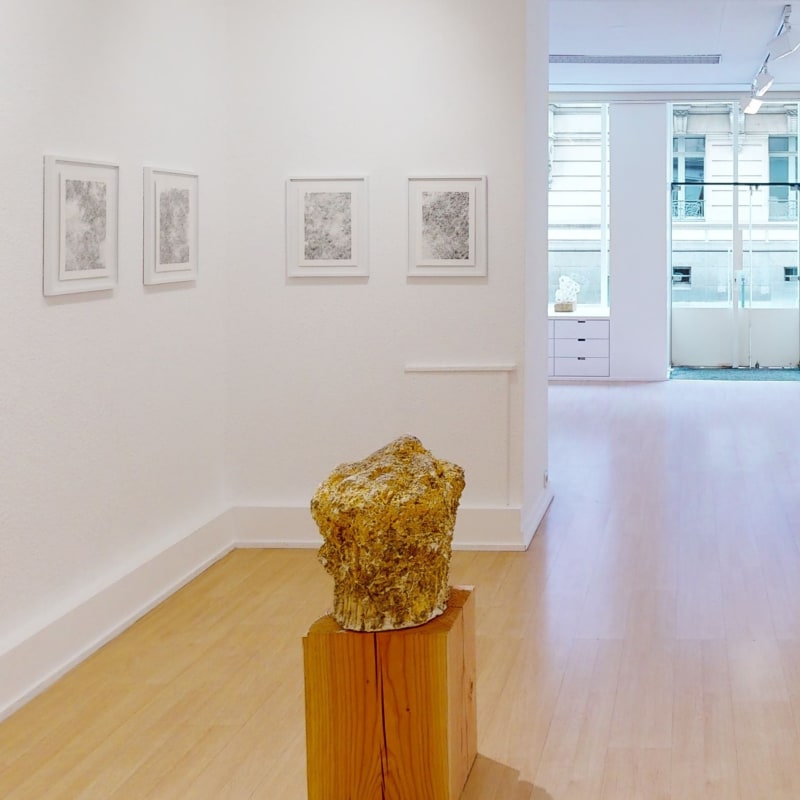 Nikolas Fouré, exposition Invitation #2 - Oniris 2022