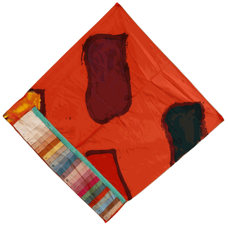 Claude Viallat, 2015-417