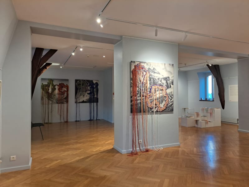Brancika Zilovic "Voyage aux contours des mondes" Villa Médicis - St Maur des Fossés - 2025