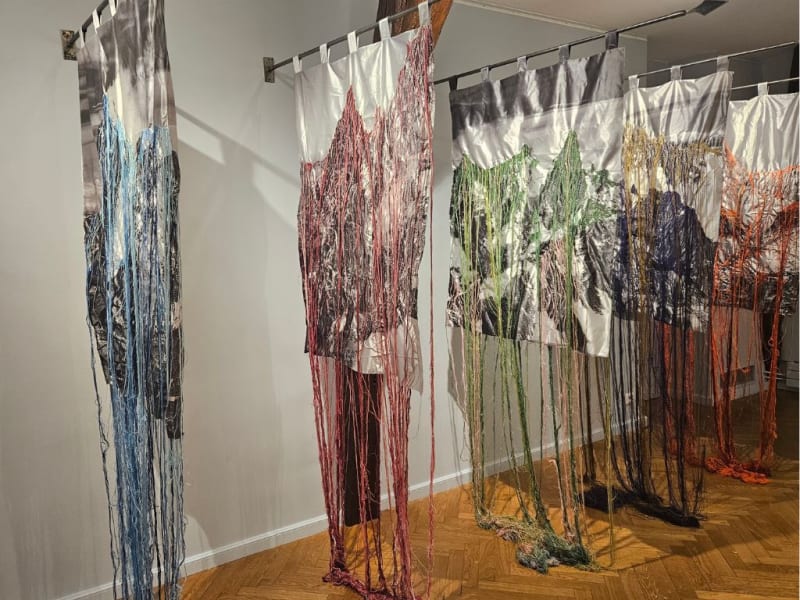 Brancika Zilovic "Voyage aux contours des mondes" Villa Médicis - St Maur des Fossés - 2025