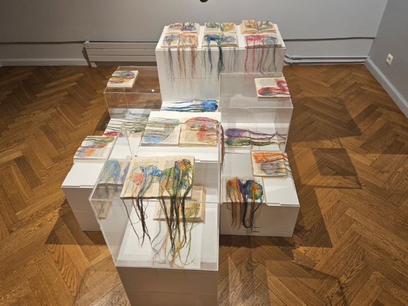 Brancika Zilovic "Voyage aux contours des mondes" Villa Médicis - St Maur des Fossés - 2025