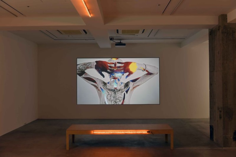 Installation view: “The Lament: Mountain Ghost”, Ota Fine Arts Tokyo, 2018